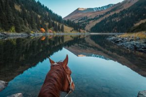 Kolsay Lakes Hike and Horseback Ride (3 days)