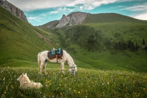 Kolsay and Kungey Alatau Horseback Trip (5 days)