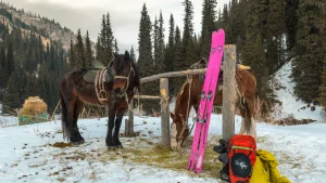 Ketmen Ridge Backcountry (5 days)