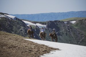 The Lost World Safari in Dzhungaria (8 days)